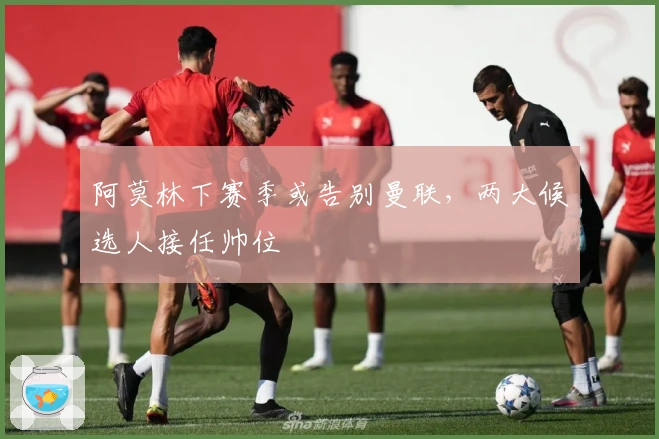 阿莫林下赛季或告别曼联，两大候选人接任帅位